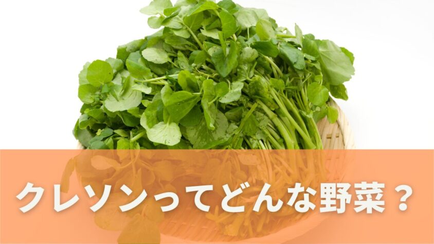 クレソンとはどんな野菜？