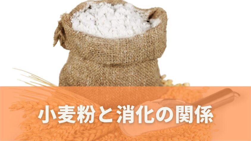 生焼けのたこ焼き｜危険性