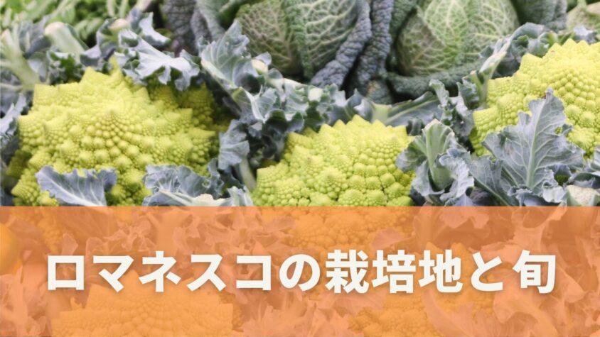 ロマネスコの旬と栽培地