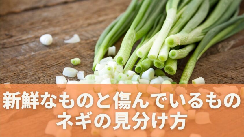 消費期限切れの刻みネギ｜腐敗の見分け方