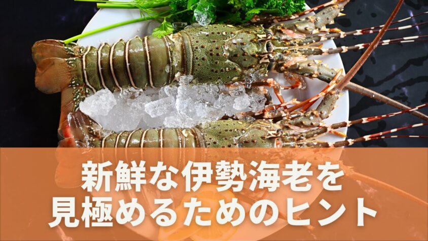 伊勢海老の新鮮さを見極める方法