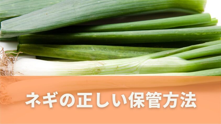 刻みネギの鮮度を保つ保存方法と期間の目安