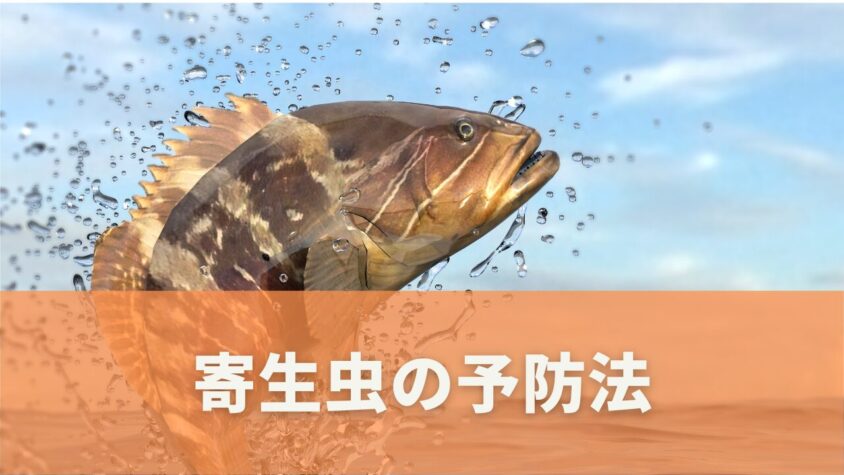 寄生虫による健康リスクとは？